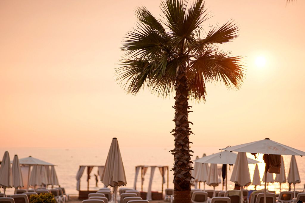 Ôclub Zen Hôtel Royal G Max 5* pas cher photo 14