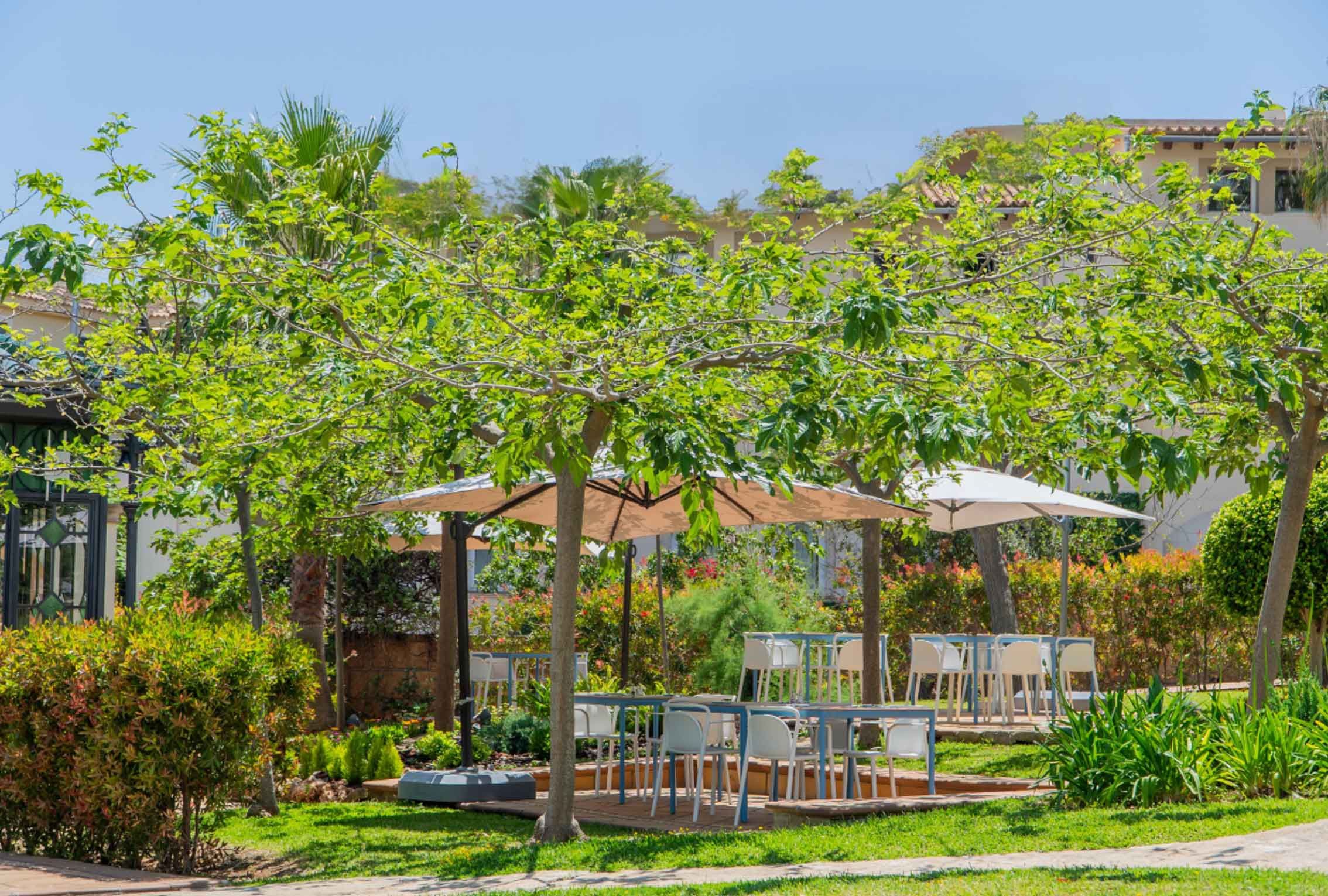 Valparaiso Palace & Spa - Flex - Les Baléares pas cher photo 4