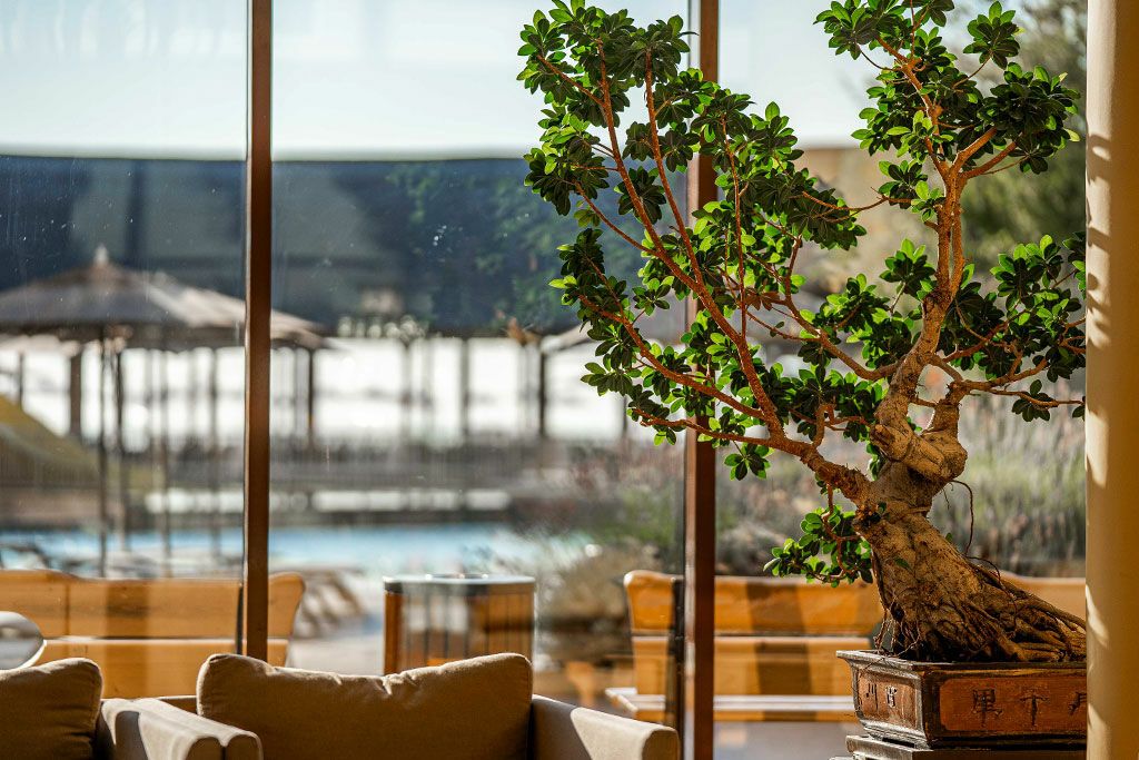 HVD Clubhotel Miramar 4* pas cher photo 9