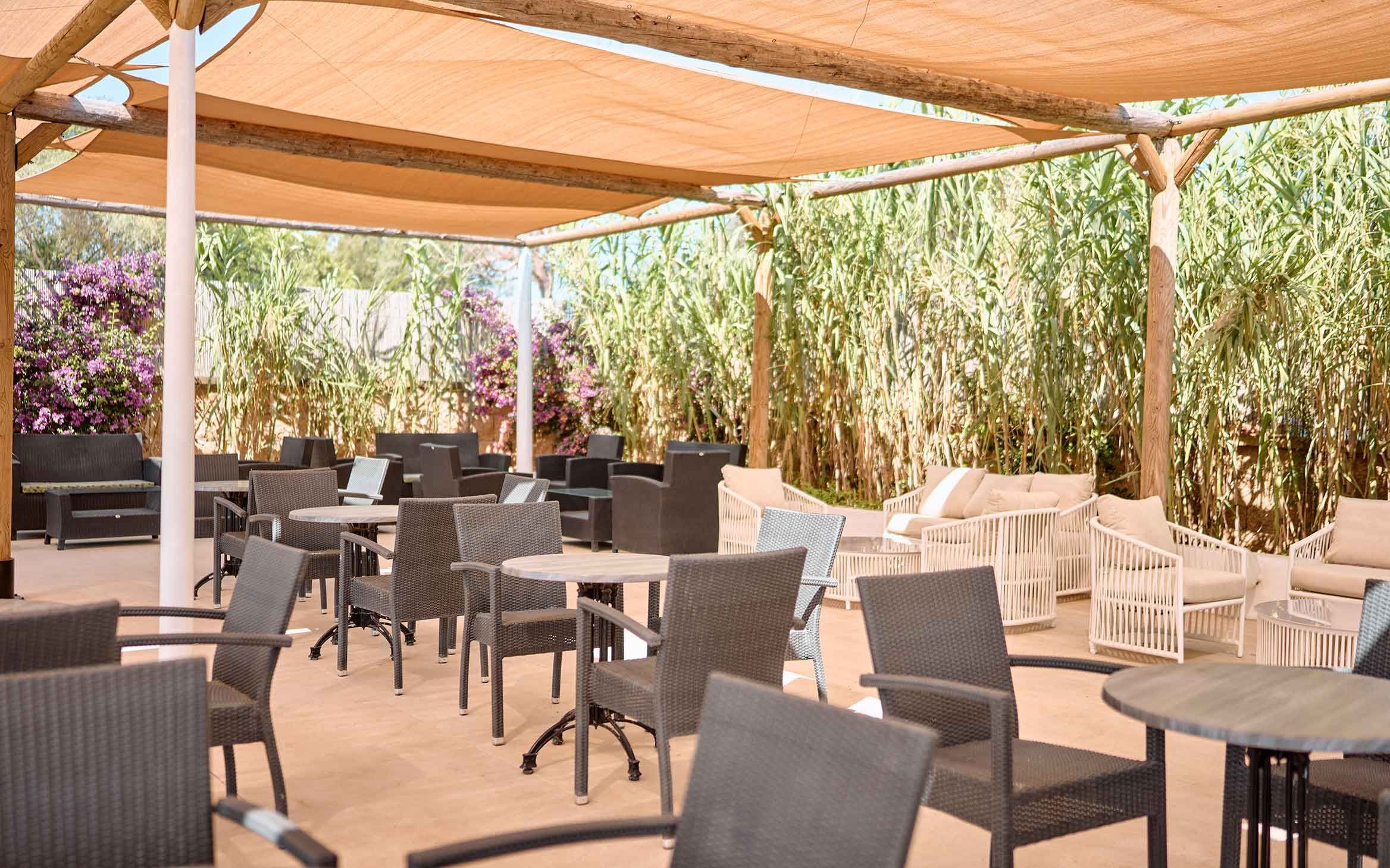 Ankaa - Adult Only - Flex - Majorque pas cher photo 3