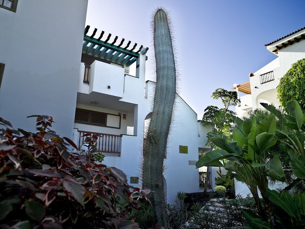Hôtel BlueSea Callao Garden 3* pas cher photo 26