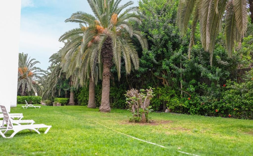 Hôtel Hamilton Agadir 3* pas cher photo 12