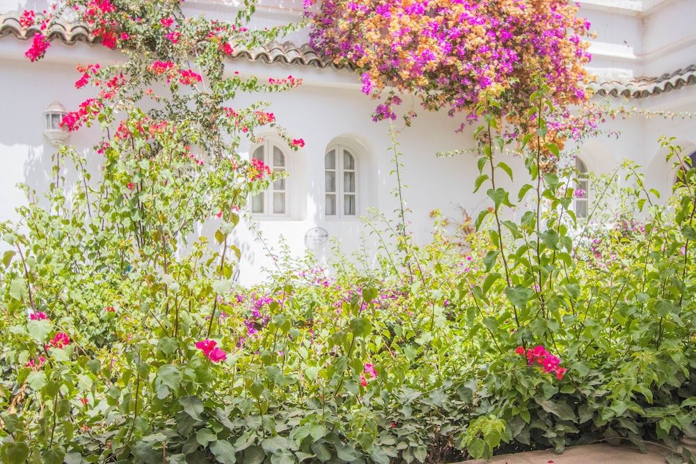 Riad Palais des Princesses pas cher photo 73