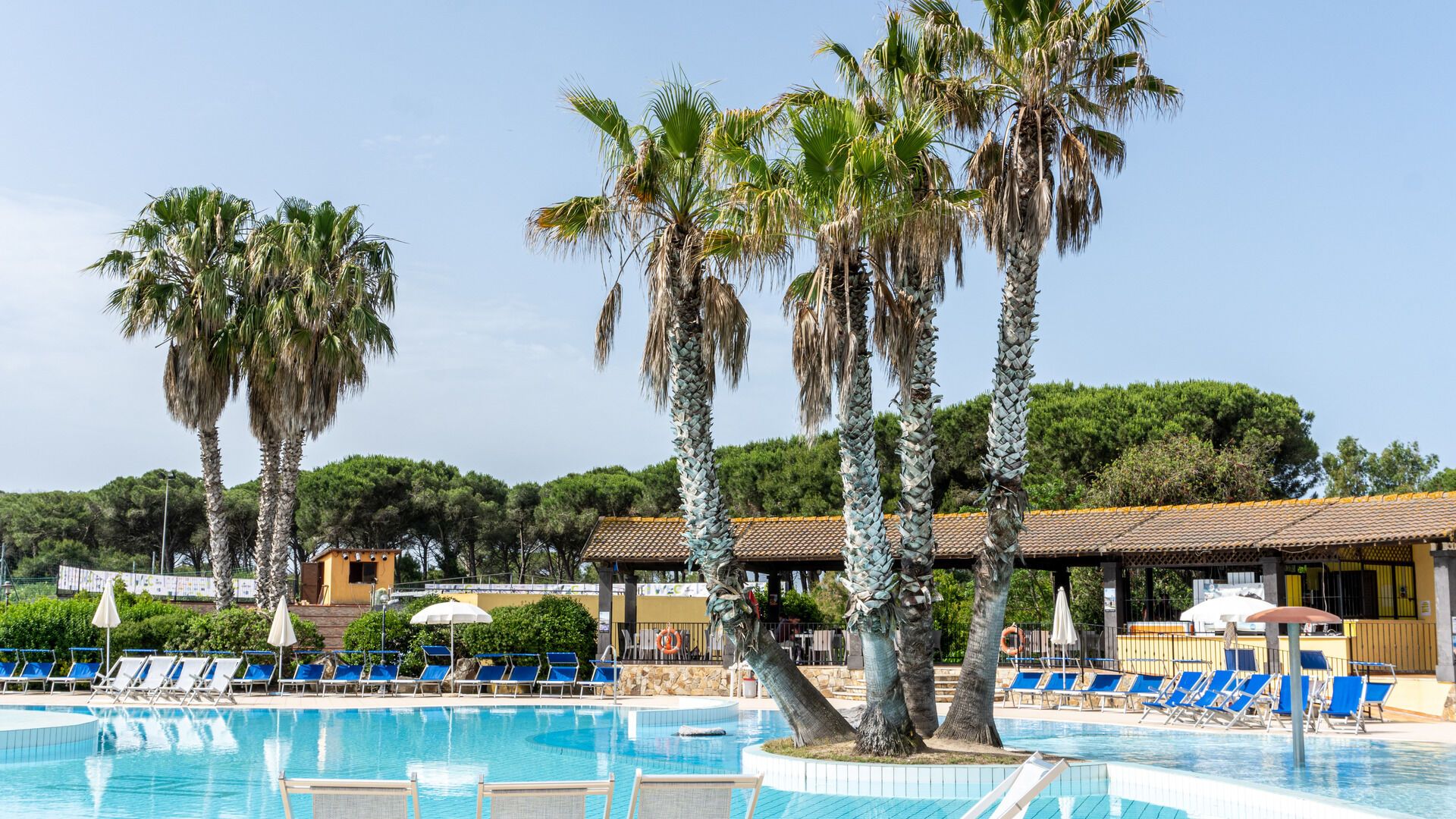 Horse Country Resort Congress & Spa 4* pas cher photo 6