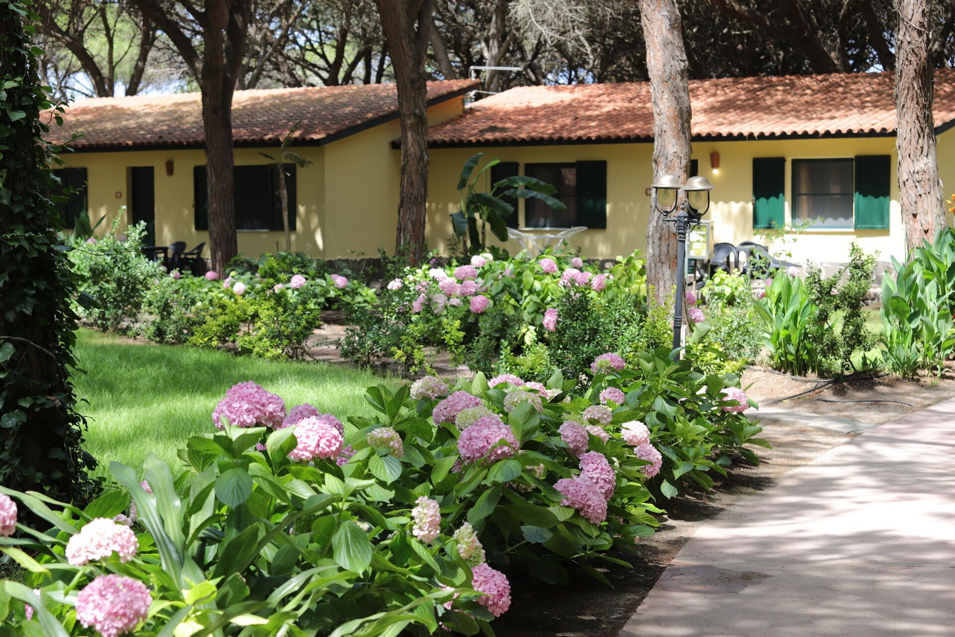 Horse Country Resort Congress & Spa 4* pas cher photo 7
