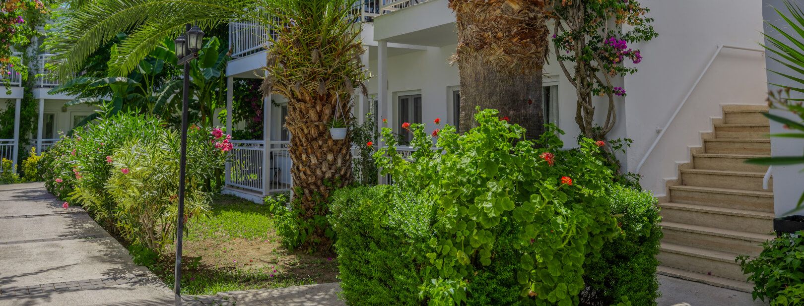 Hôtel Petunya Beach 4* pas cher photo 4