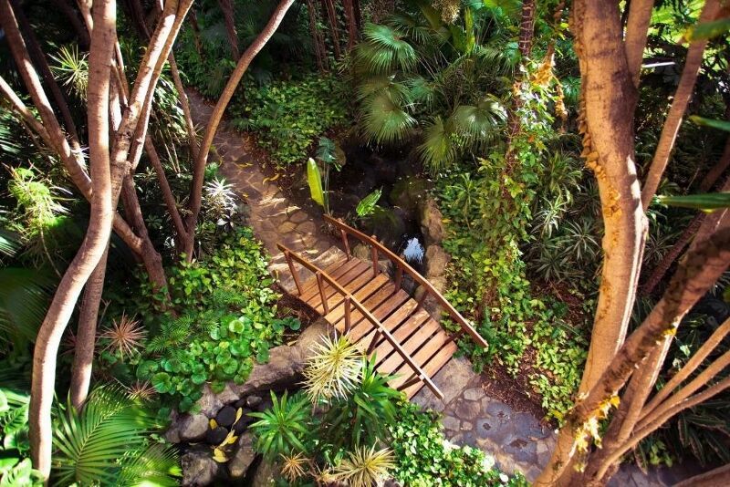 Botanico & The Oriental Spa Garden 5* Luxe pas cher photo 17