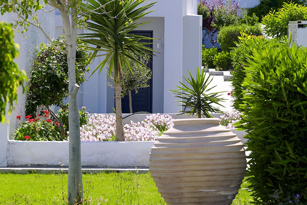 Dimitra Beach Hôtel et Suites 5* pas cher photo 12