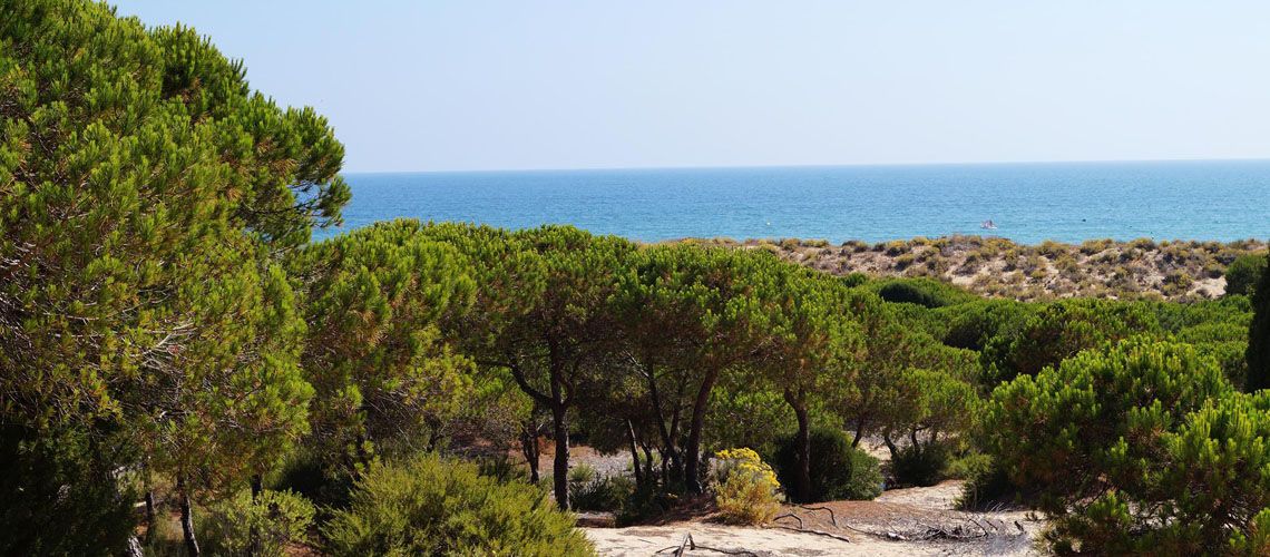 Hôtel Barcelo Punta Umbria Beach Resort 4* pas cher photo 12