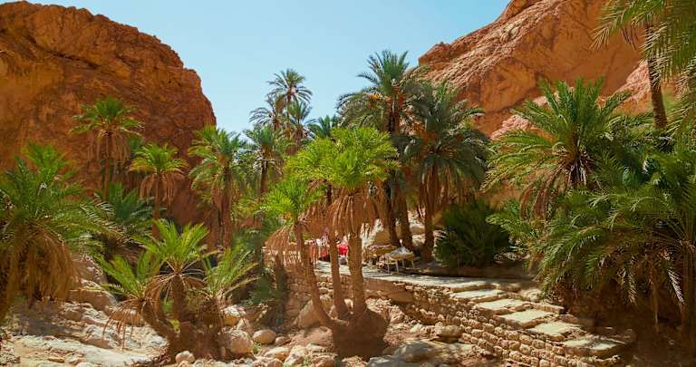 Balade Tunisienne, visite en petit groupe avec guide francophone - 4* pas cher photo 4