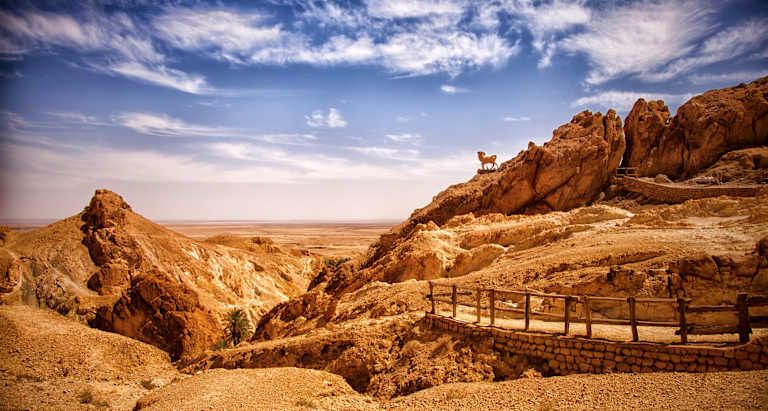 Balade Tunisienne, visite en petit groupe avec guide francophone - 4* pas cher photo 5
