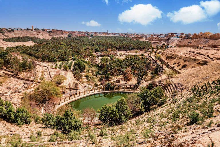 Balade Tunisienne, visite en petit groupe avec guide francophone - 4* pas cher photo 6