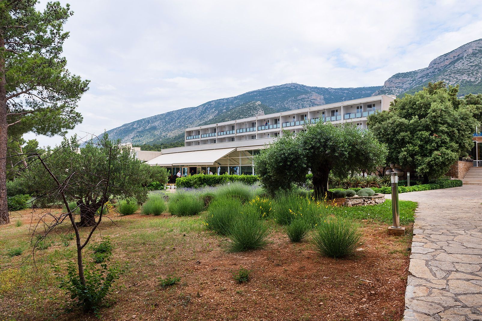 Bluesun Hôtel Elaphusa 4* pas cher photo 45