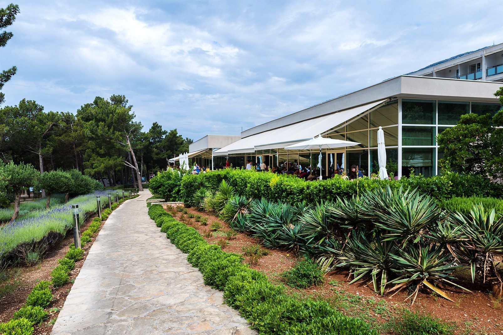 Bluesun Hôtel Elaphusa 4* pas cher photo 49