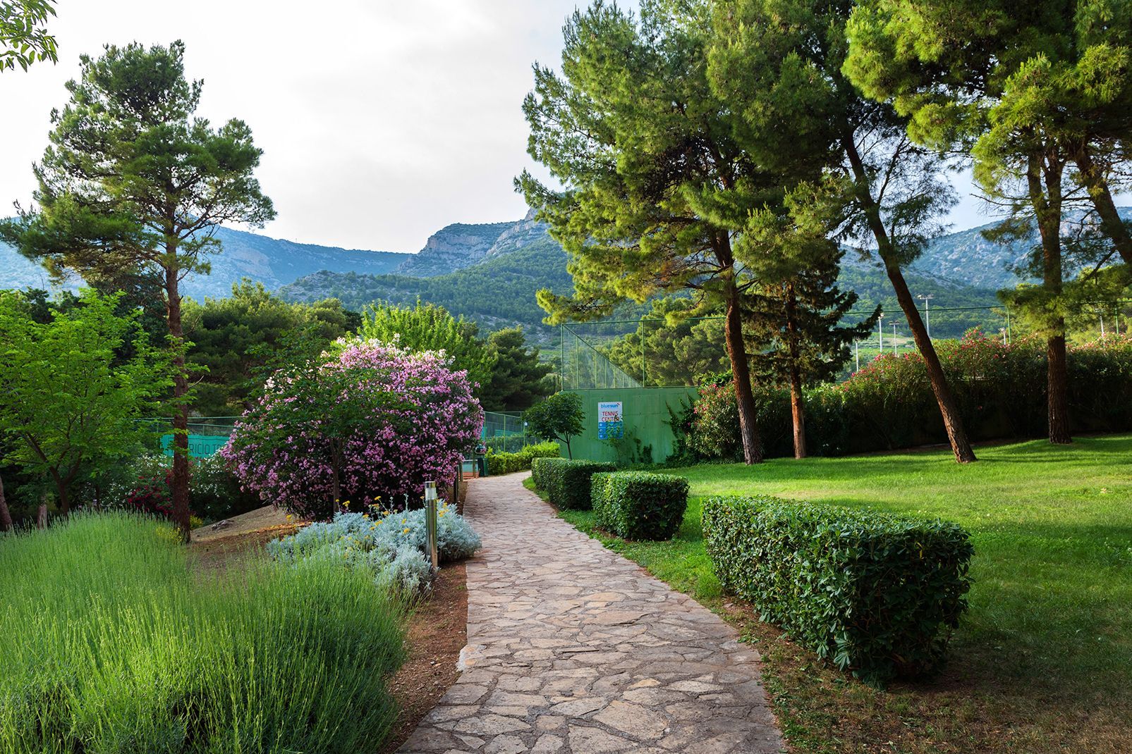 Hôtel Bluesun Holiday Village Bonaca 4* pas cher photo 59