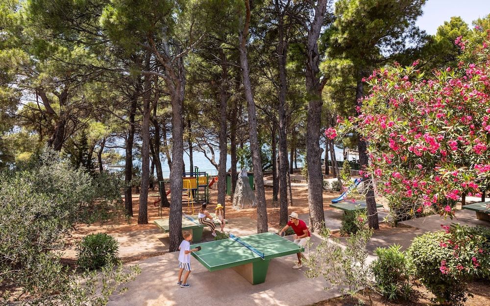 Hôtel Sunny Makarska by Valamar 3* pas cher photo 23