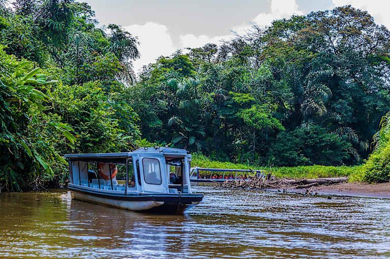 De la jungle aux côtes du Pacifique pas cher photo 4
