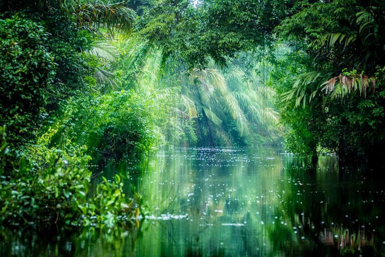 De la jungle aux côtes du Pacifique pas cher photo 7
