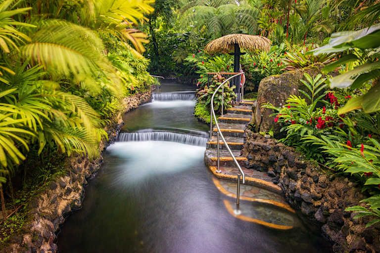 De la jungle aux côtes du Pacifique pas cher photo 11