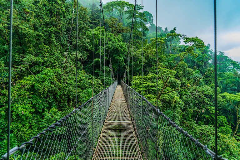 De la jungle aux côtes du Pacifique pas cher photo 12