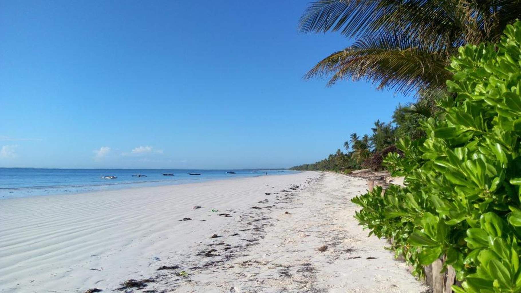 Hôtel Zanzibar Bahari Villas 4* pas cher