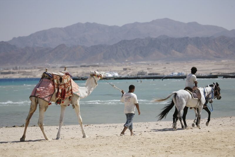 Imperial Shams Abu Soma 4* pas cher photo 12