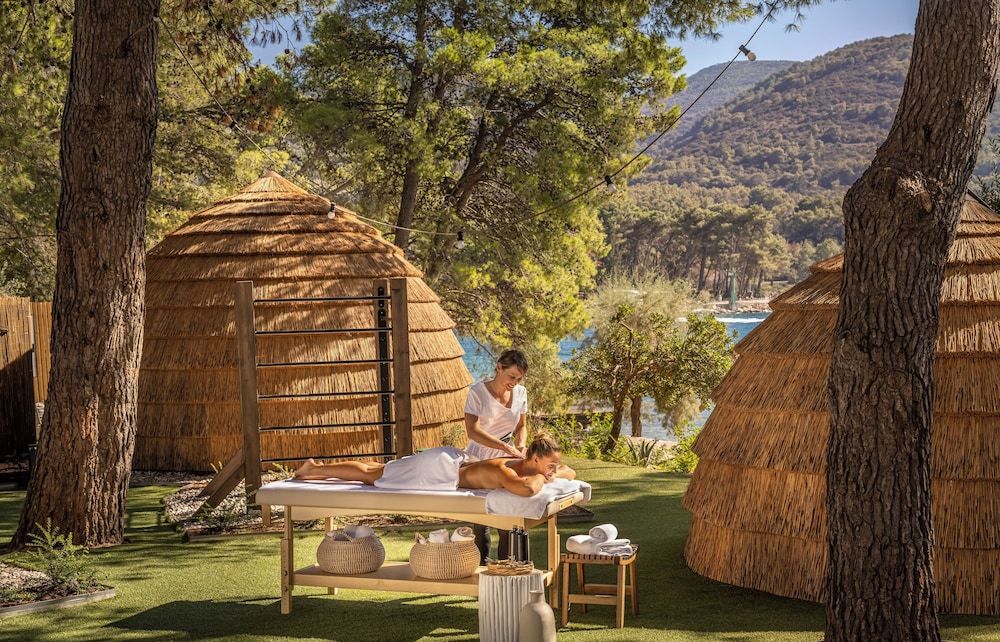 Hôtel Valamar Amicor Green Resort 4* pas cher photo 61