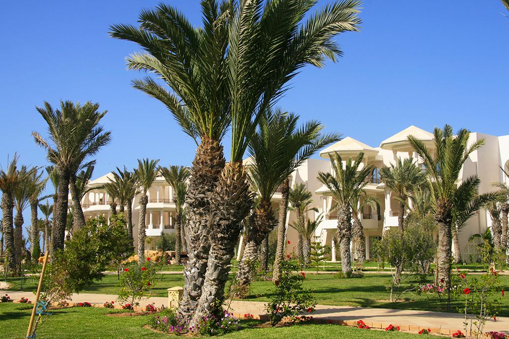 Hôtel Hasdrubal Prestige Thalasso et Spa 5* pas cher photo 5