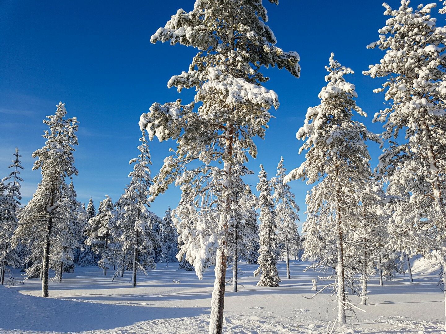 Séjour multi activités Réveillon du Nouvel An à l'Hôtel Olos 4* 7J/ 6N pas cher photo 5