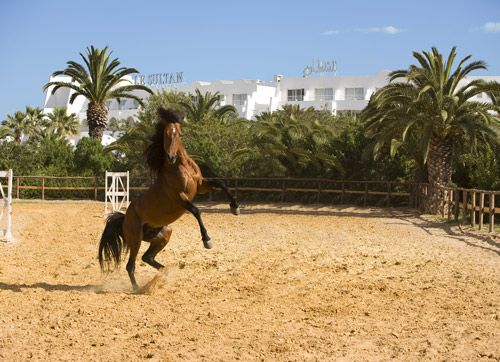 Hôtel Le Sultan Hammamet 4* pas cher photo 1