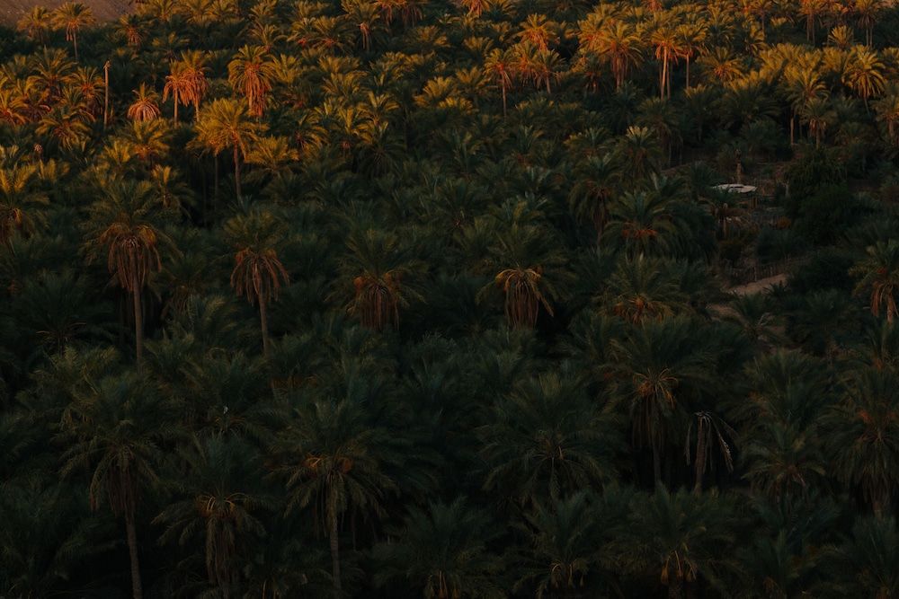 Hôtel Dar Hi Life 4* pas cher photo 49