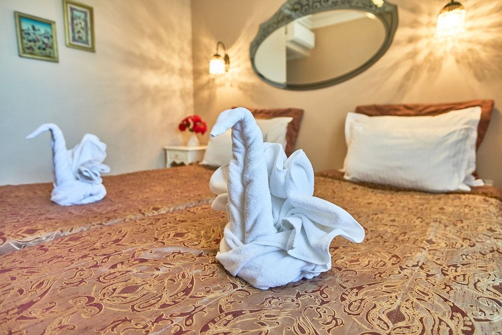 Celal Sultan Hôtel 4* pas cher photo 66