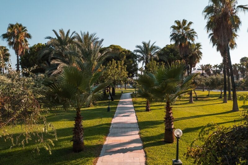 Süral Hotel 5* pas cher photo 13