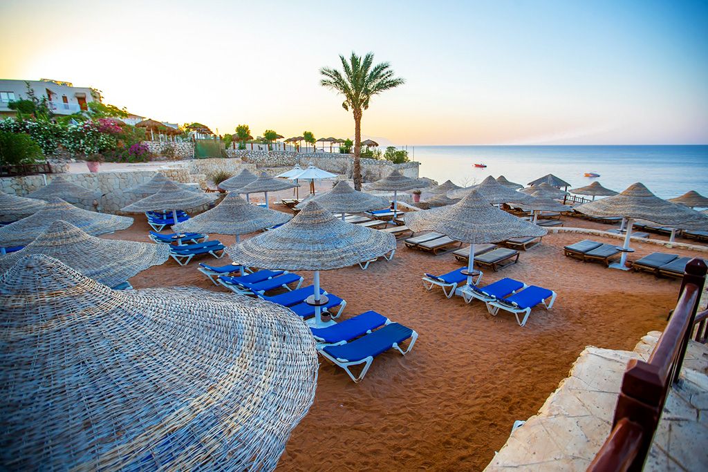 Hôtel Double Tree by Hilton Sharks Bay Resort 4* pas cher photo 4