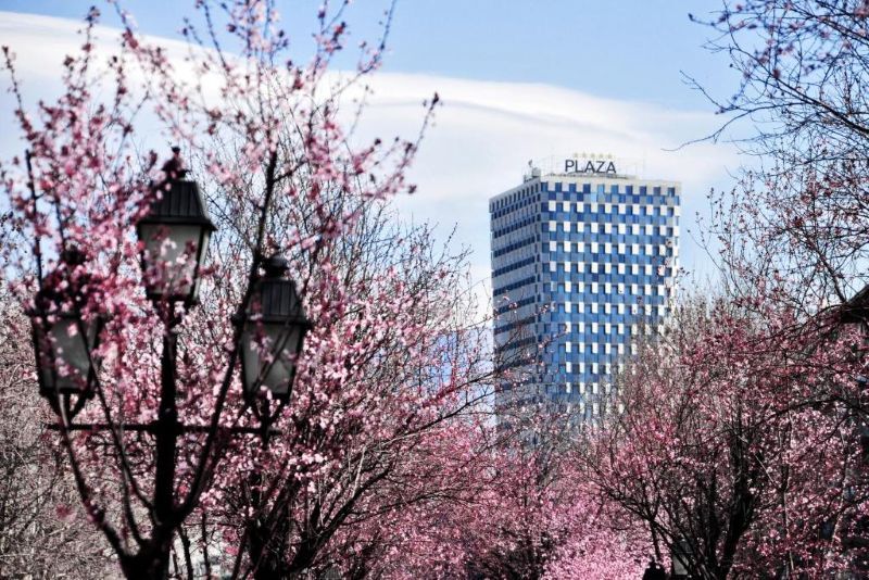 Maritim Hotel Plaza Tirana 5* pas cher photo 18