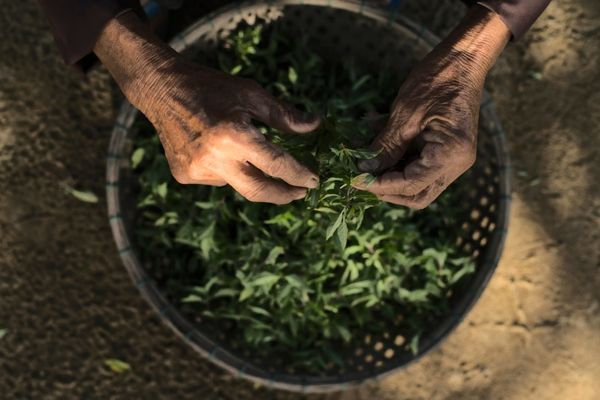 Séjour Hoi An, Namia River retreat Wellness 5* pas cher photo 24