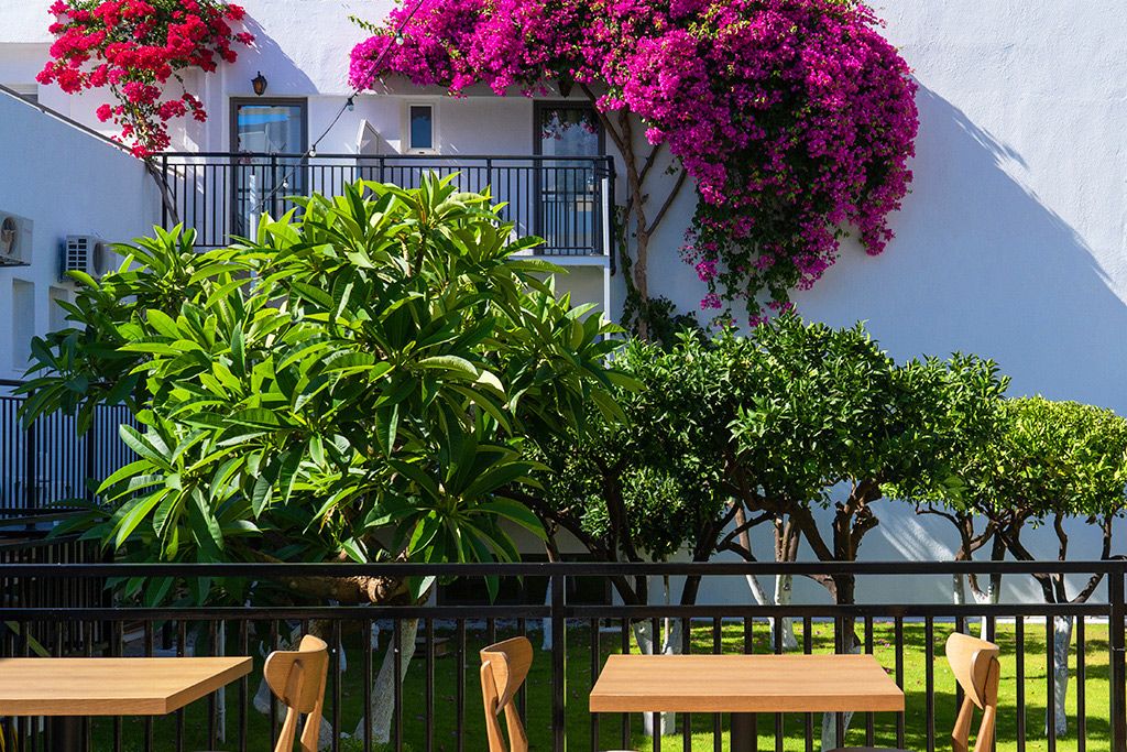 Malia Holidays Hôtel 3* pas cher photo 4