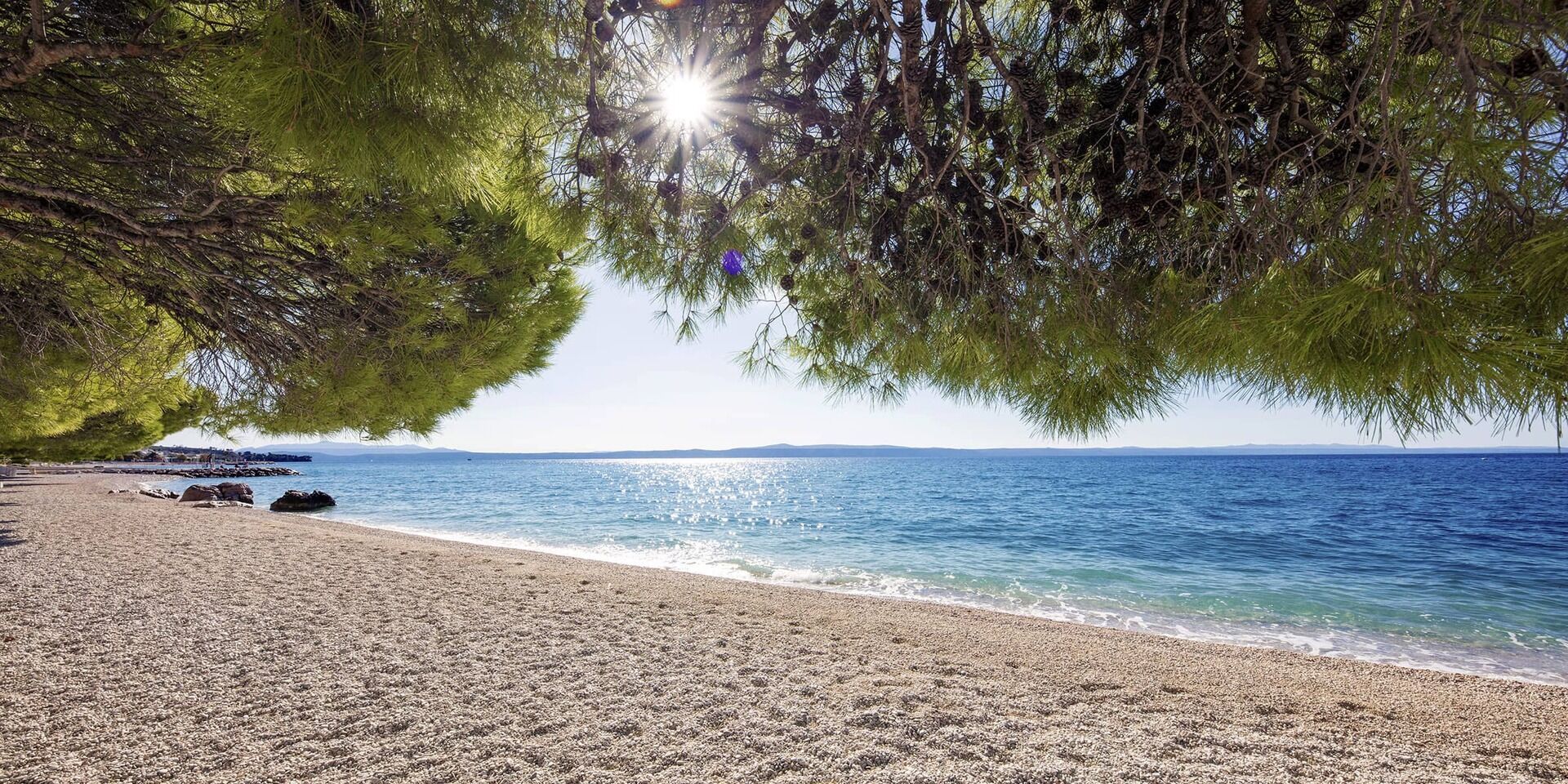Bluesun Hötel Alga 4* pas cher