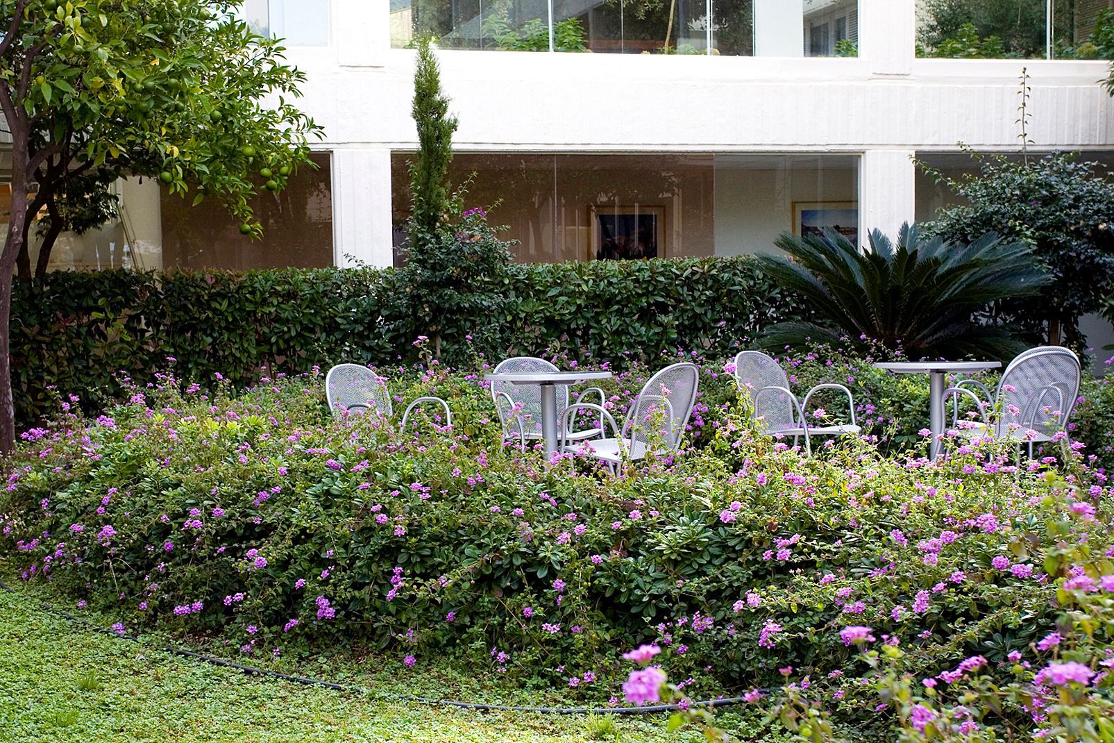 Hôtel Argosy by Valamar 4* pas cher