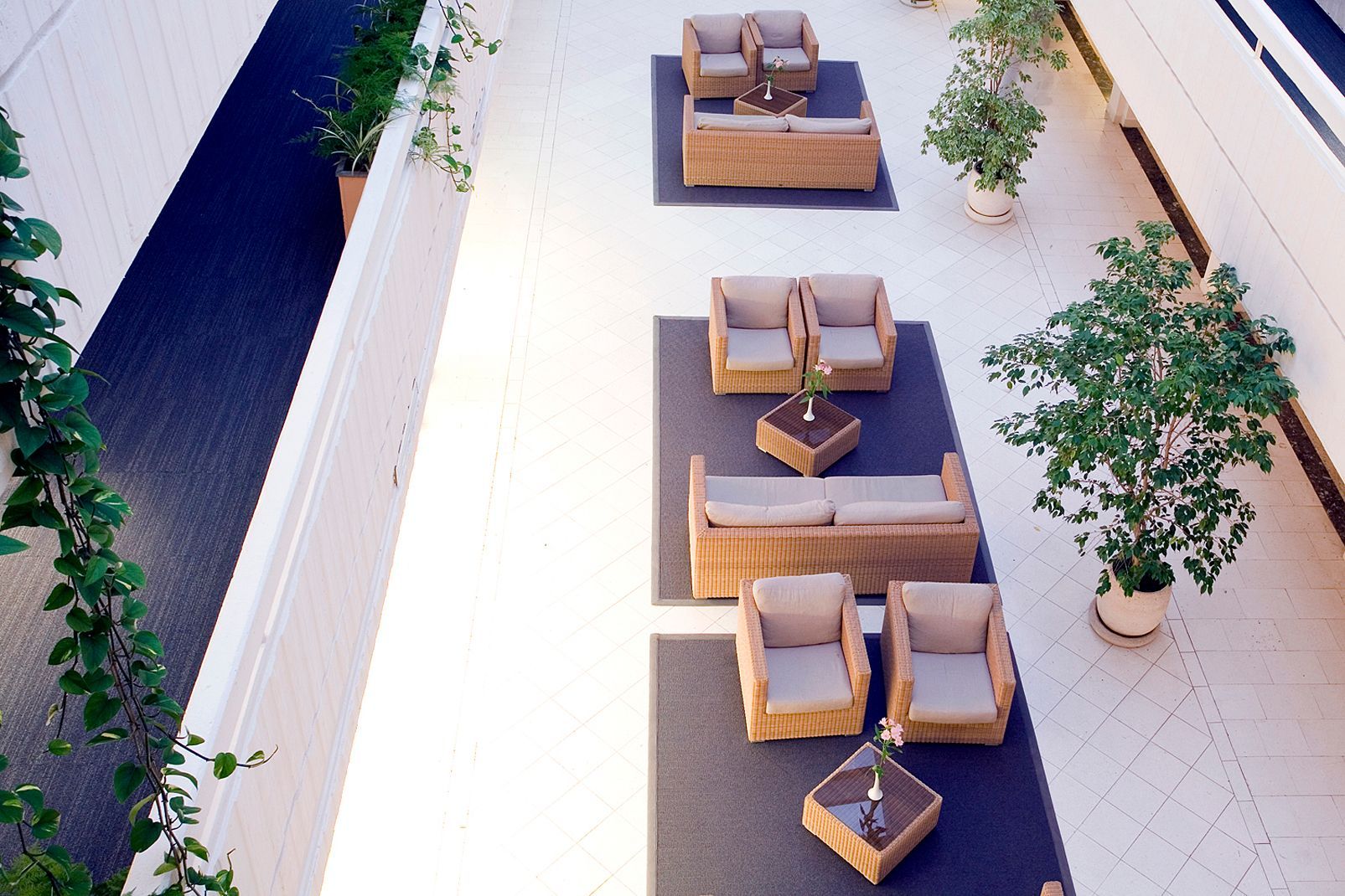 Hôtel Argosy by Valamar 4* pas cher photo 18
