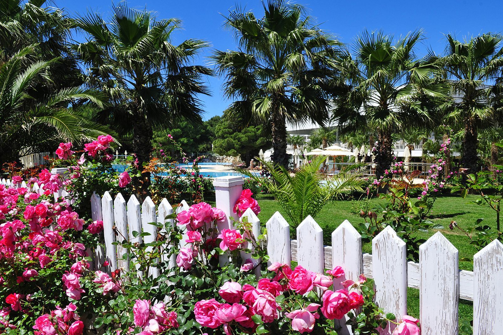 Amadria Park Hôtel Ivan 4* pas cher photo 31