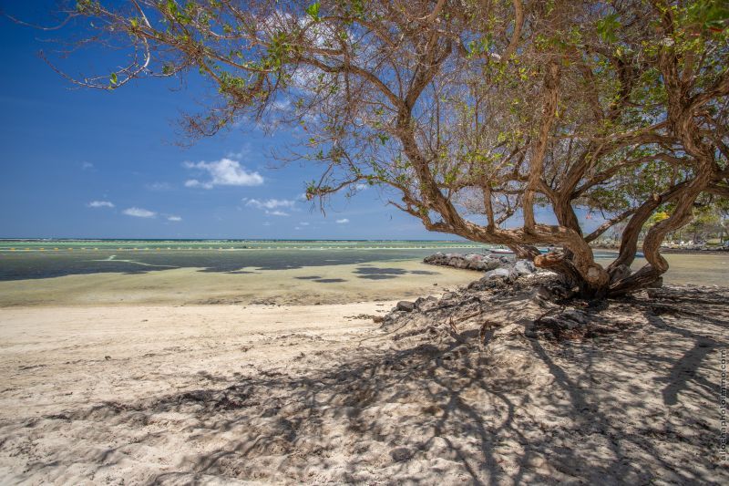 Les Villas du Lagon - sans transfert pas cher photo 17