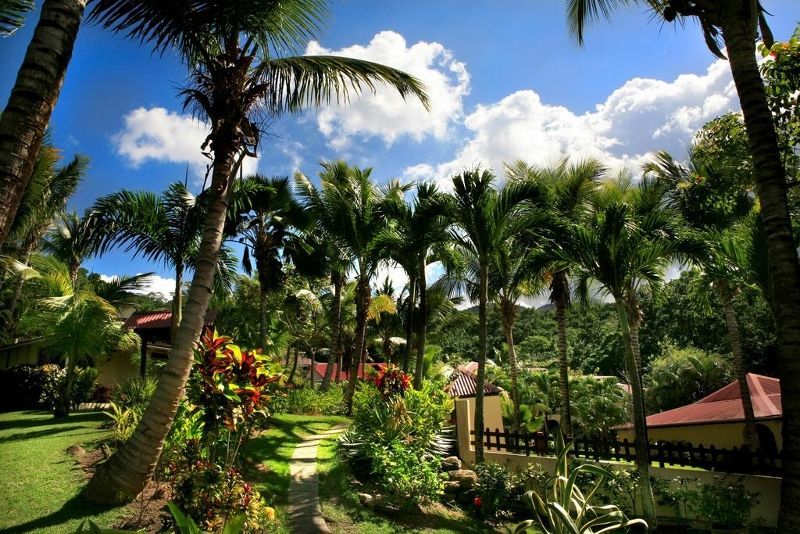 Résidence Habitation Grande Anse 3* - Sans Transfert pas cher