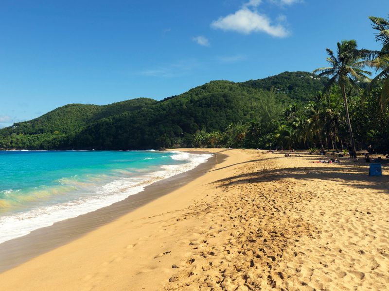 Habitation Grande Anse 3* avec Location de voiture pas cher photo 14