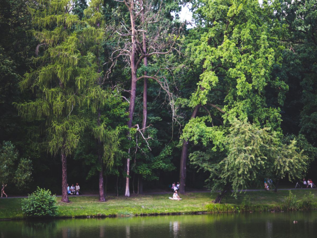 Passion Malaisie ext. 3, 5 ou 8 nuits à Tioman - Privatif pas cher photo 5