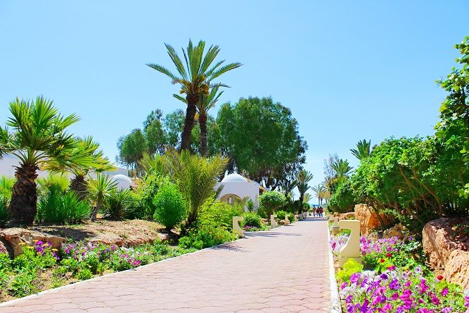 Hôtel Royal Karthago Djerba & Thalasso 4* pas cher photo 17