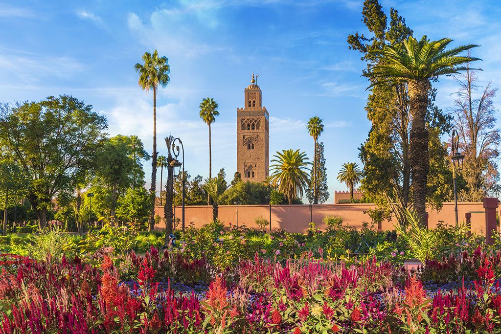 Riad Brother pas cher photo 13