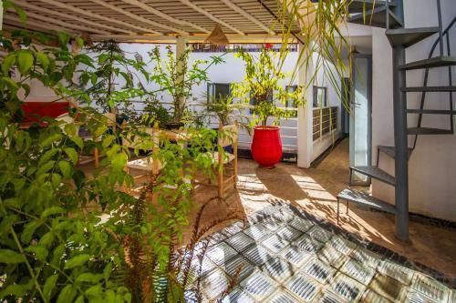 Riad Les Jardins des Lilas pas cher photo 20