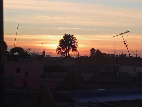Riad Les Jardins des Lilas pas cher photo 51
