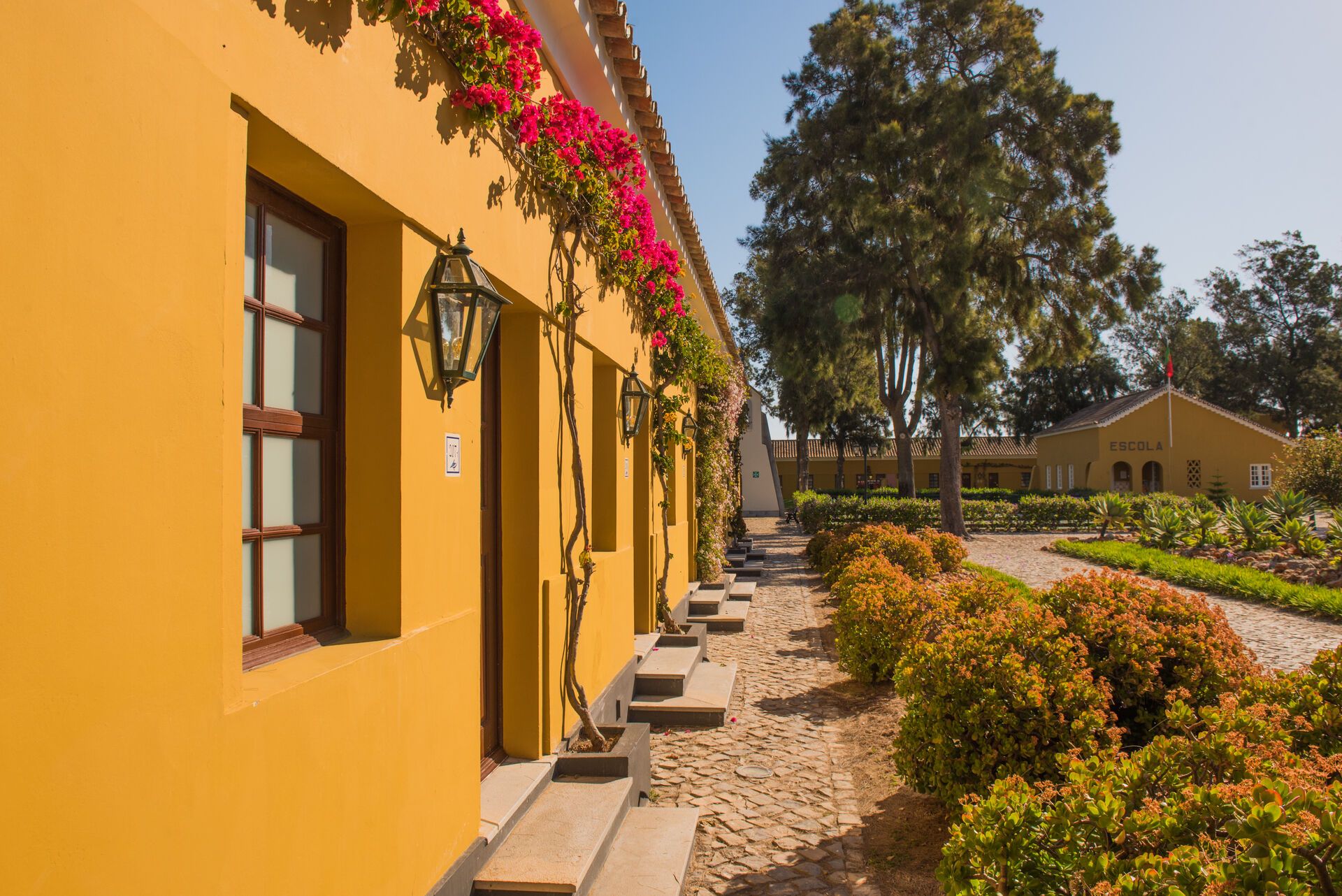 Hôtel Vila Galé Albacora 4* pas cher photo 4